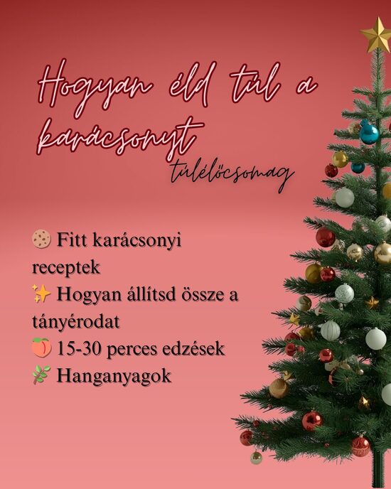 Hogyan éld túl a karácsonyt - Túlélőcsomag